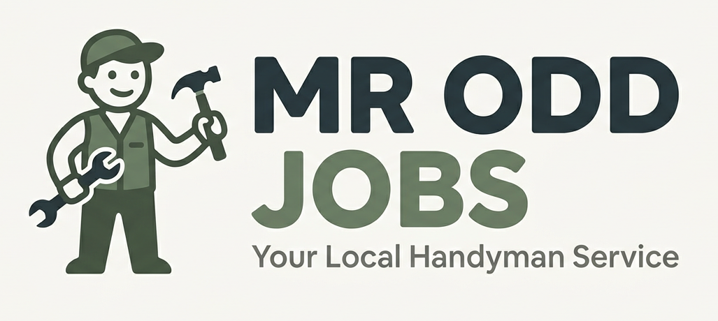 Mr Odd Jobs